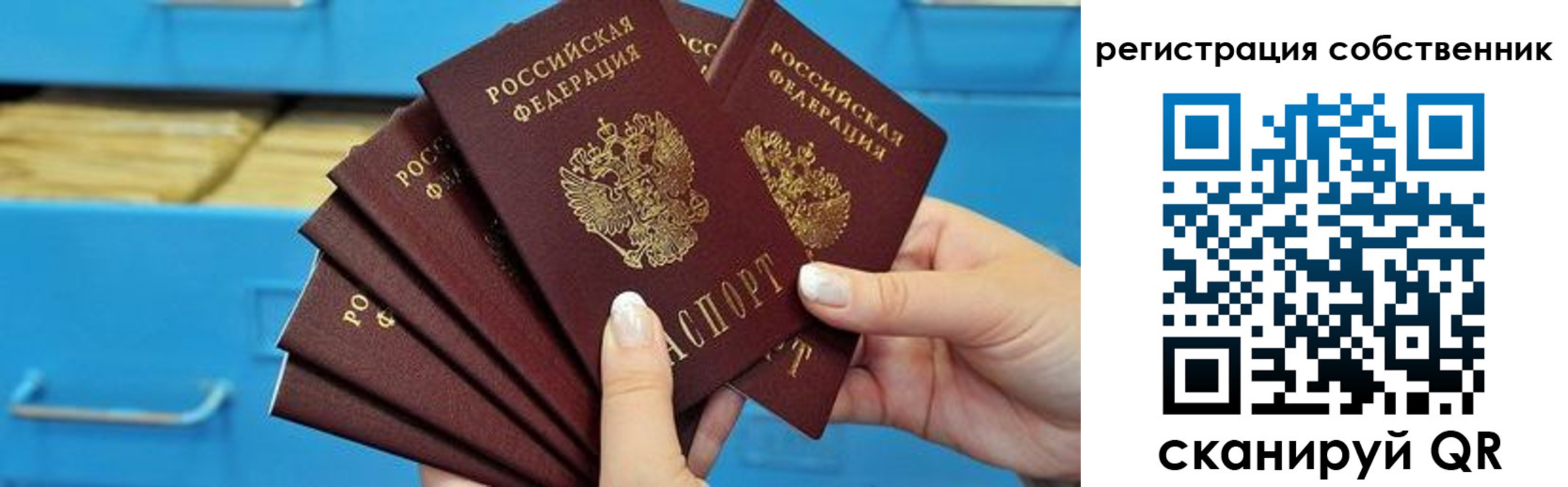 временная регистрация 2025 в Светлом